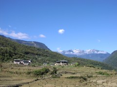 Damji Village