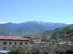 View from My Bed Room