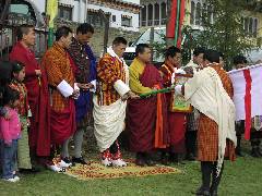 Dasho Comming