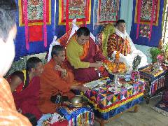 Dasho in a Room