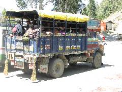 Local Bus (1)
