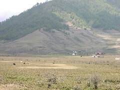 Phobjikha