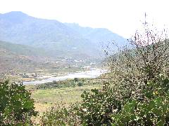 View from Chhimi Lhakhang (2)