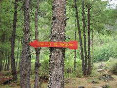 To Taktsang