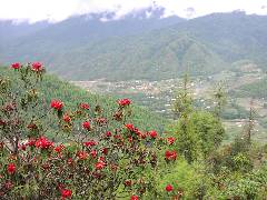 View from the Route