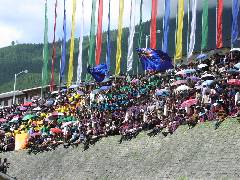 Gallay Seats (1.5 Hours before the Match) (1)