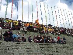 Seats (1)