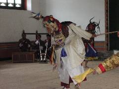 RAPA (2)