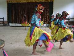 RAPA (4)