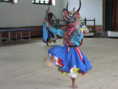 RAPA (5)