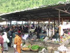 Vegetable Market (2)