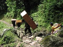 Tansu Men