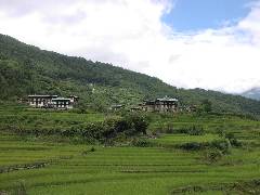 Damji Village