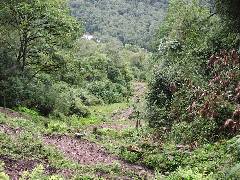 Road to Gasa Dzong