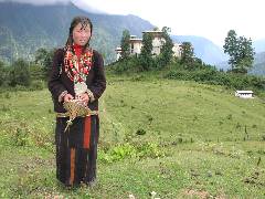 Layapa Girl
