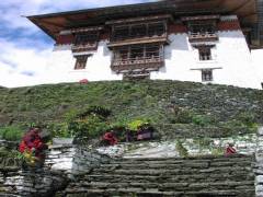 Gasa Dzong (3)