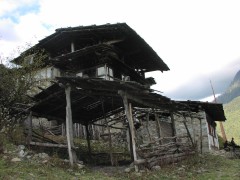Shop at Gayza