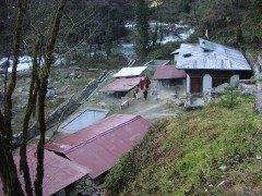 Gasa Tsachu (Hot Spring)