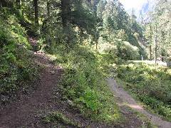 Junction to Lunana