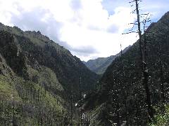 Rodophu Chu
