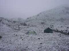 Camp Site at Narethang