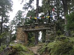 Laya Gate