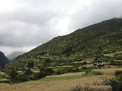 Laya Village (1)
