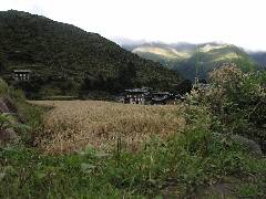 Laya Village (2)