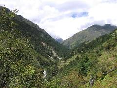 Valley between Laya & Lungu
