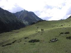 Way to Laya