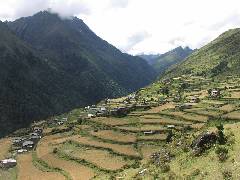 Laya Village (1)