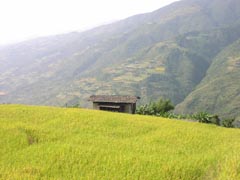 View of Radi (2)