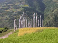 View of Radi (1)