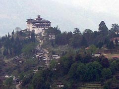 Dagana Town Bird View