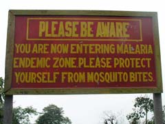 Maralia Caution